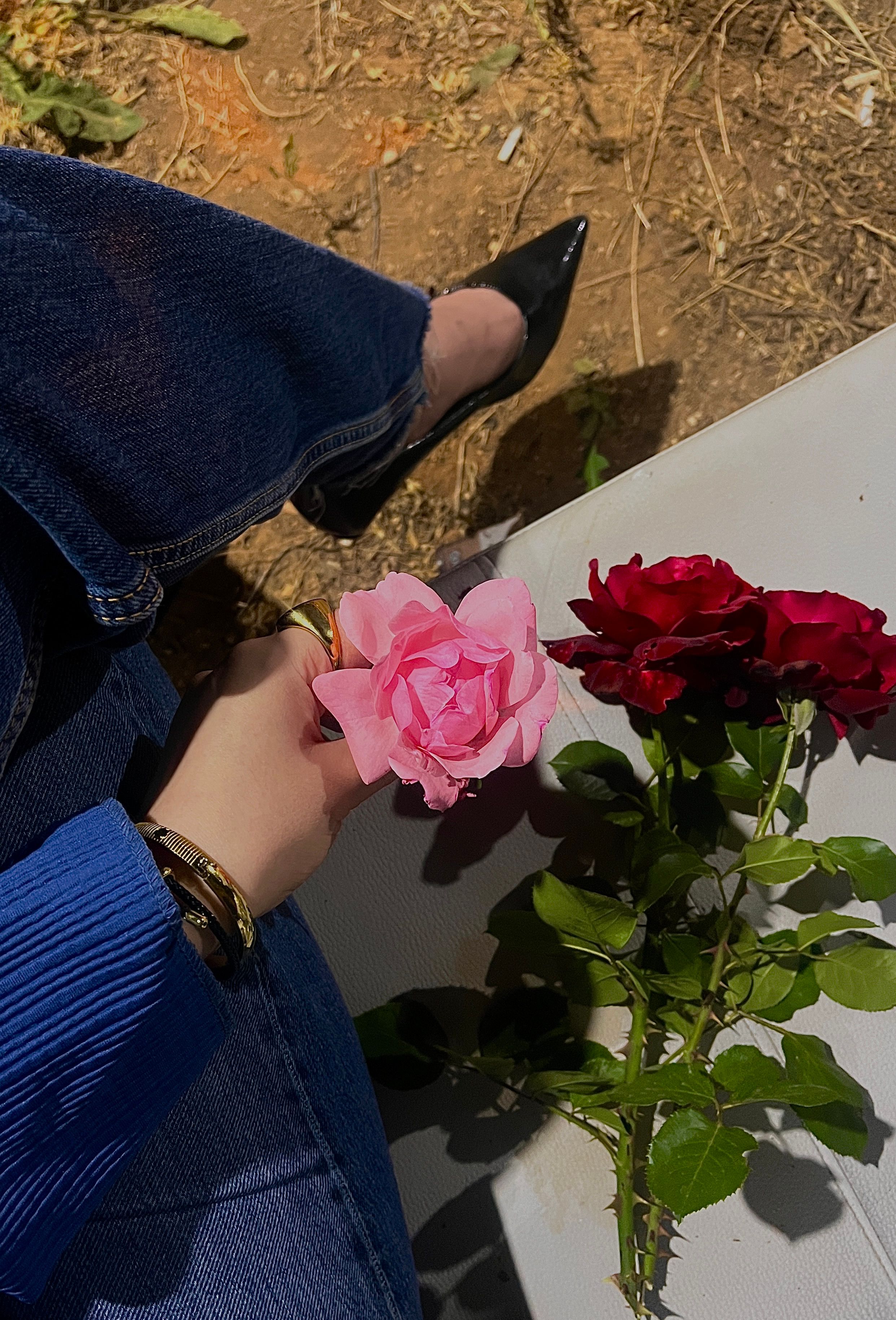A stylish scene with a person holding a pink rose next to red roses outdoors.