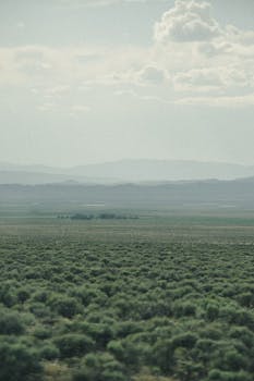 Expansive landscape showcasing rolling hills and lush green vegetation under a cloudy sky.