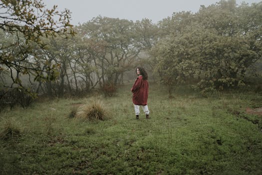 Person wearing a red coat stands in a misty forest, creating a serene and mysterious atmosphere.