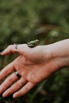A tiny frog perches on a person's hand amidst a lush, green background outdoors.