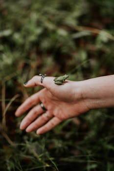A small frog delicately balances on an outstretched hand amid a lush, green environment.