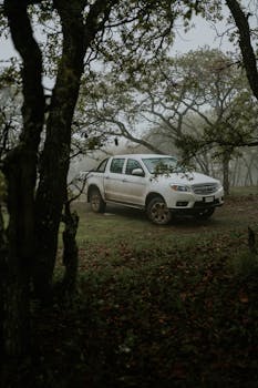 A white pickup truck parked in a foggy forest setting with lush greenery and mist.