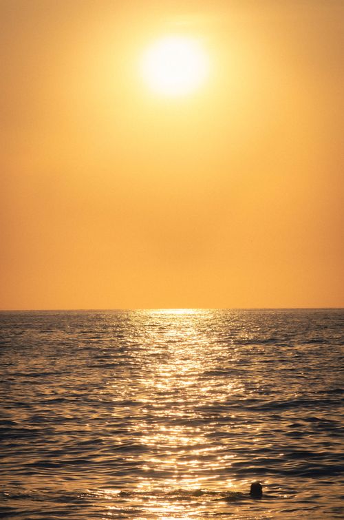 Free Capture the serene beauty of a golden sunset over the ocean in Sayulita, Mexico. Stock Photo