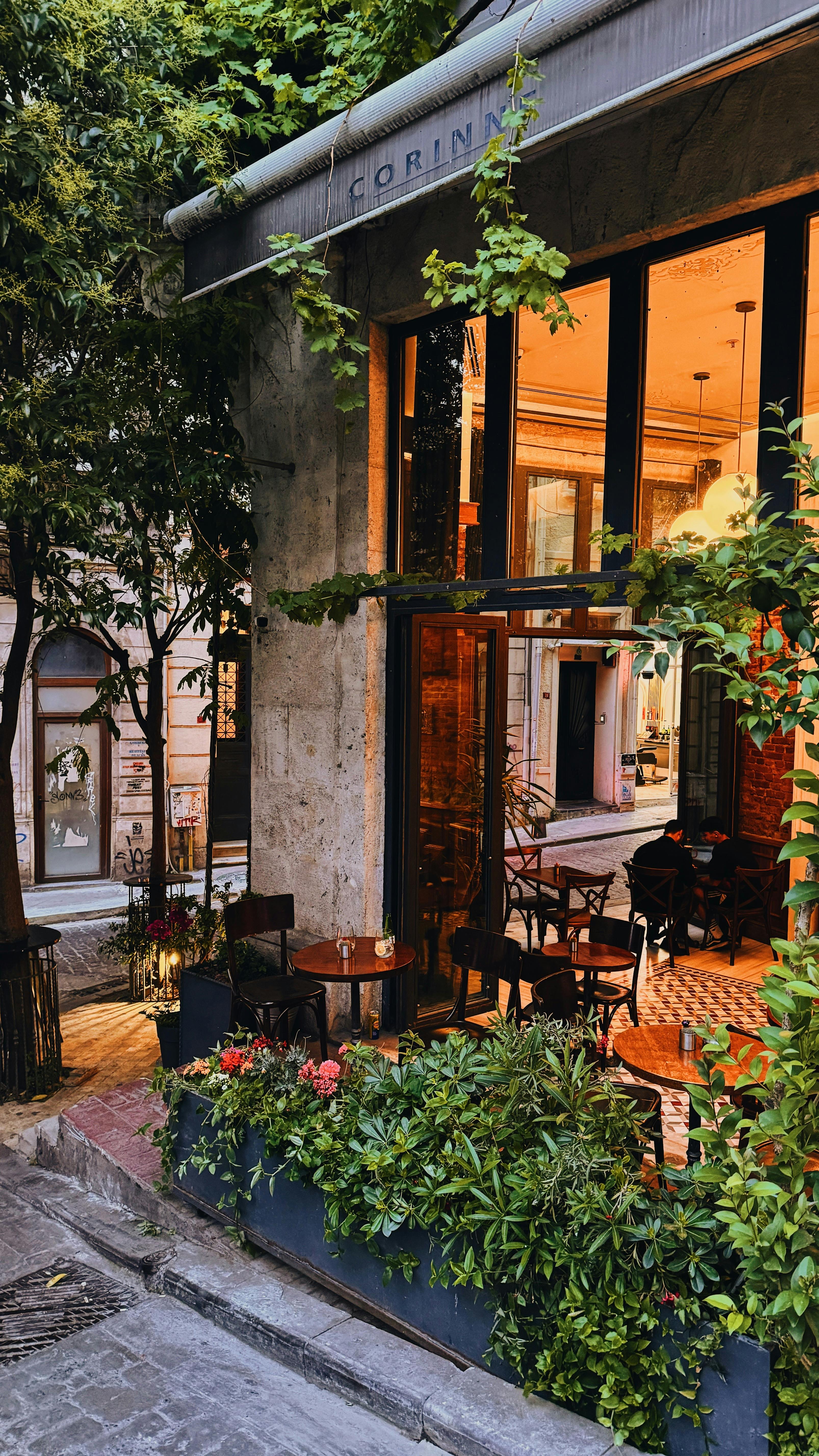 Kesimpulan: Tahun yang Mengguncang Jiwa Adrenalin