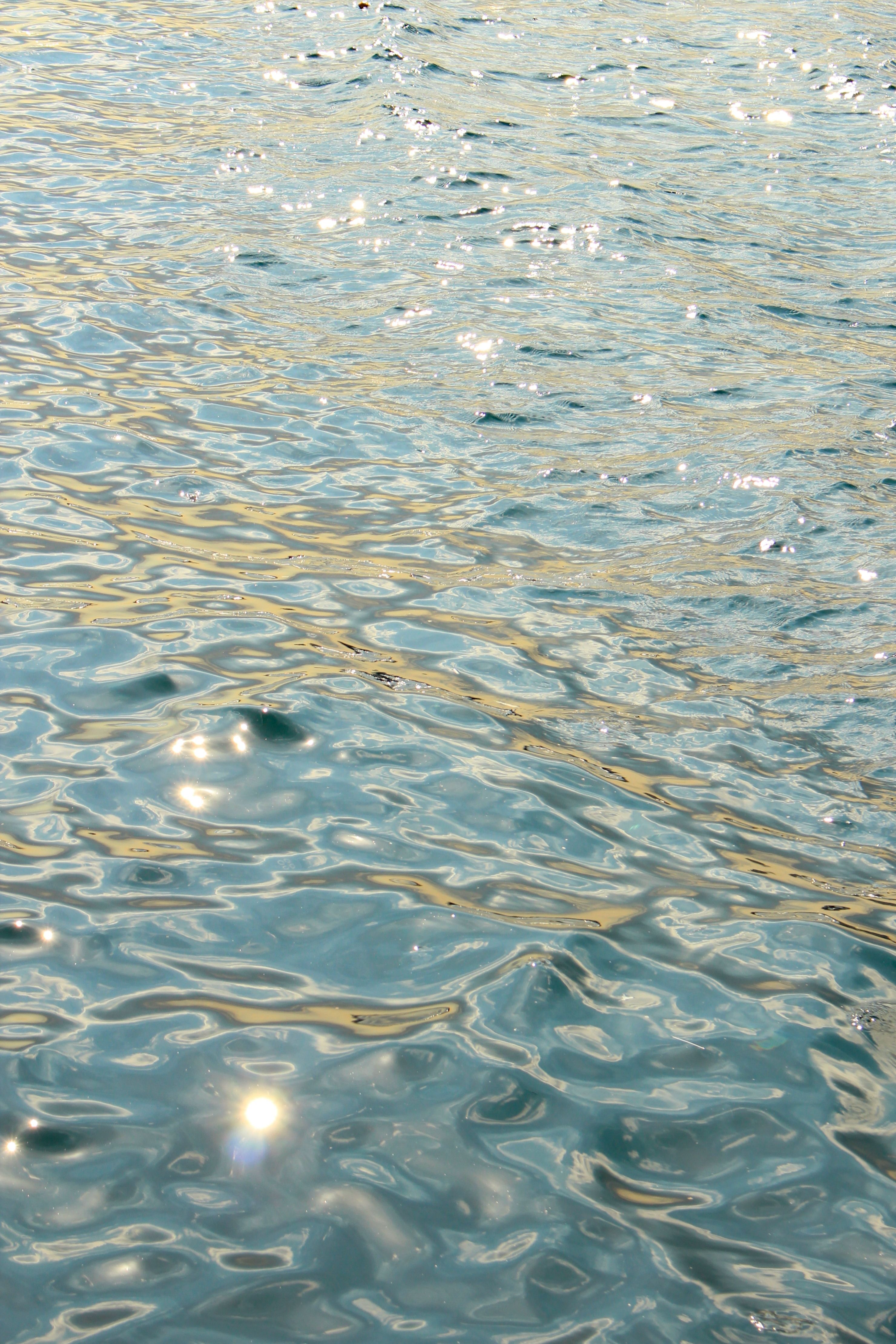 Sunlit Ripples on a Calm Ocean Surface · Free Stock Photo