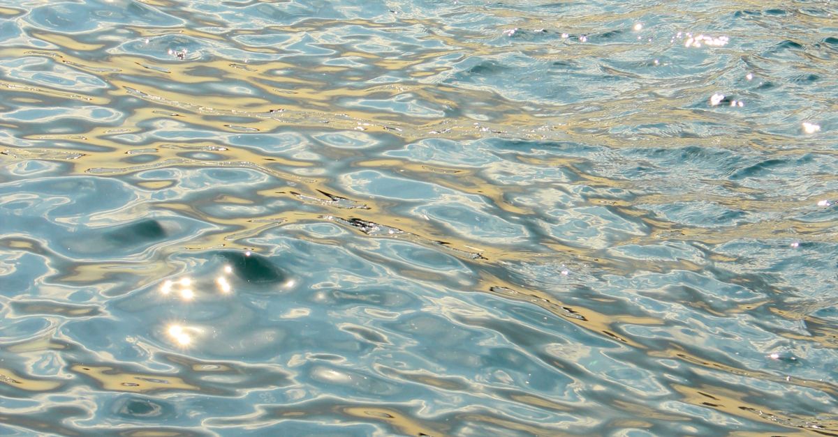 Sunlit Ripples Sunlit Ripples on a Calm Ocean Surface · Free Stock Photo
