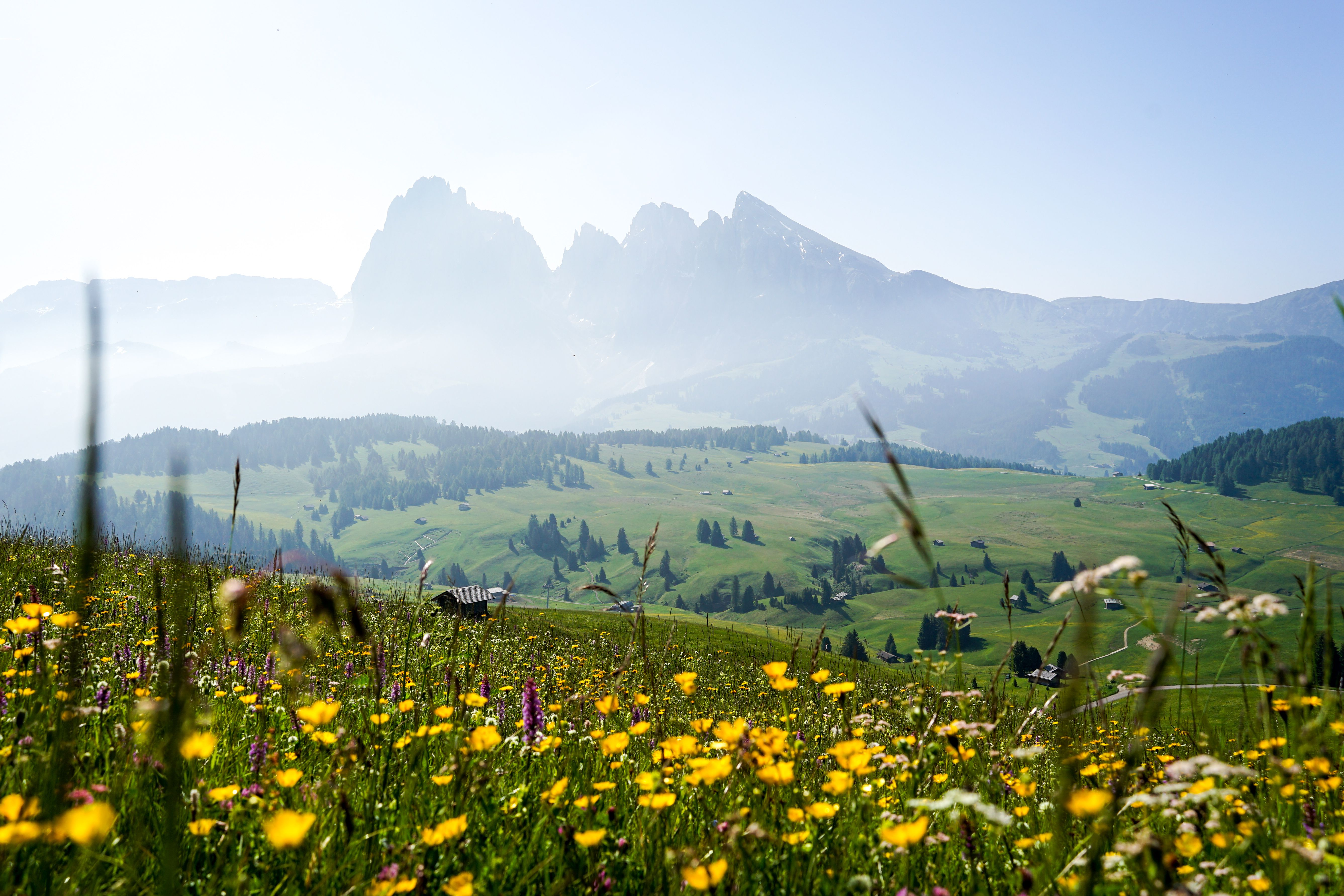 Schlern-Rosengarten Nature Park & the Alpe di Siusi (Seiser Alm)