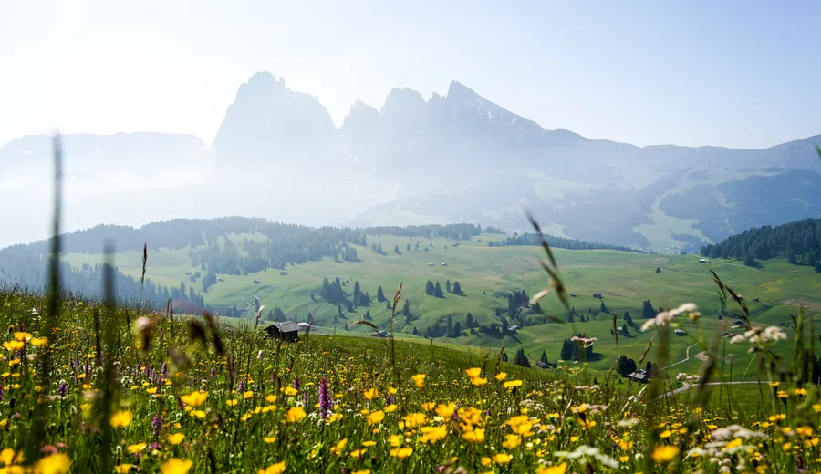 Jour 2 sur l'Alpe di Siusi