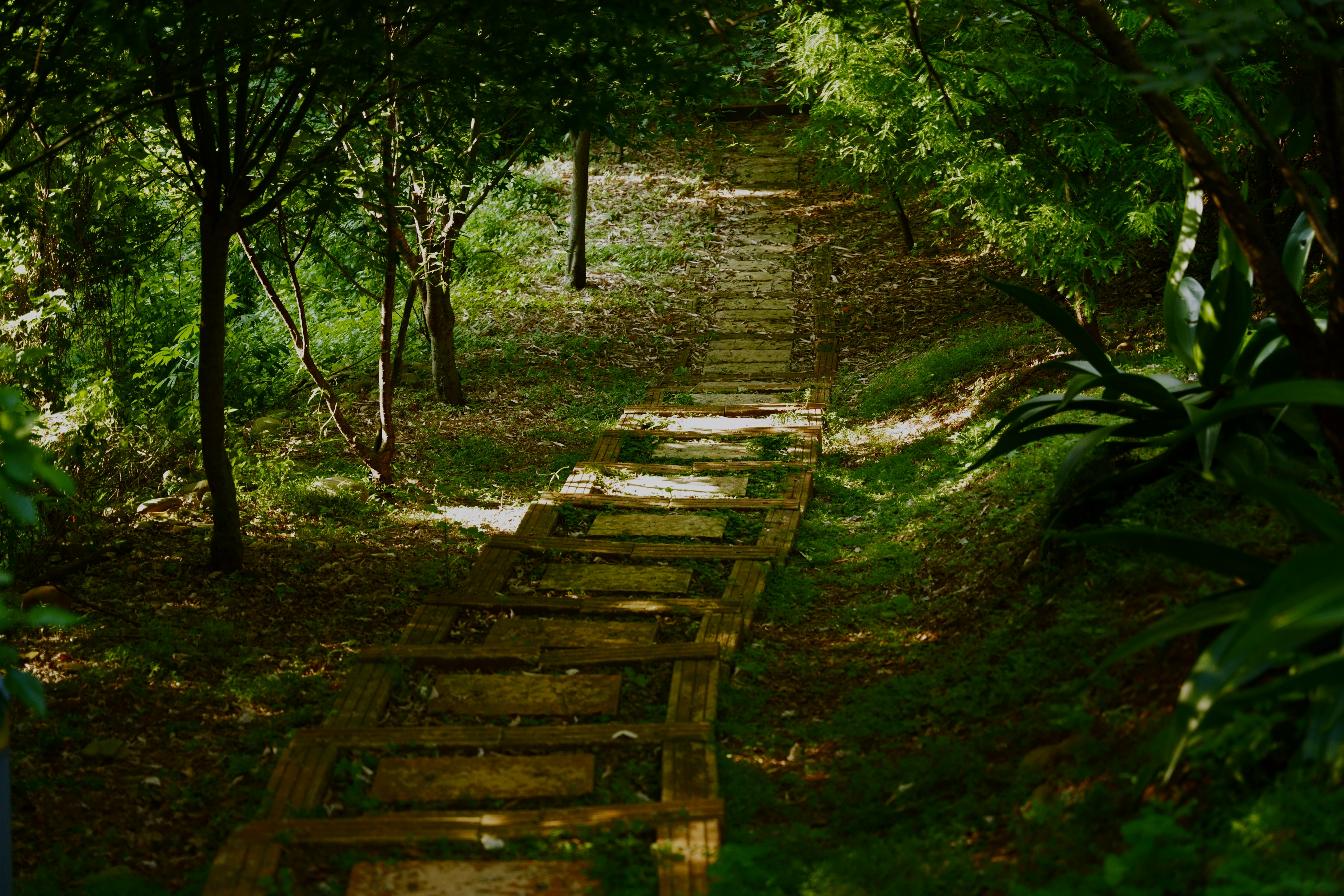 Healthspan White Paper: The Data-Driven Path to Longevity — Photo by Jacky. T. R. Chou on Pexels