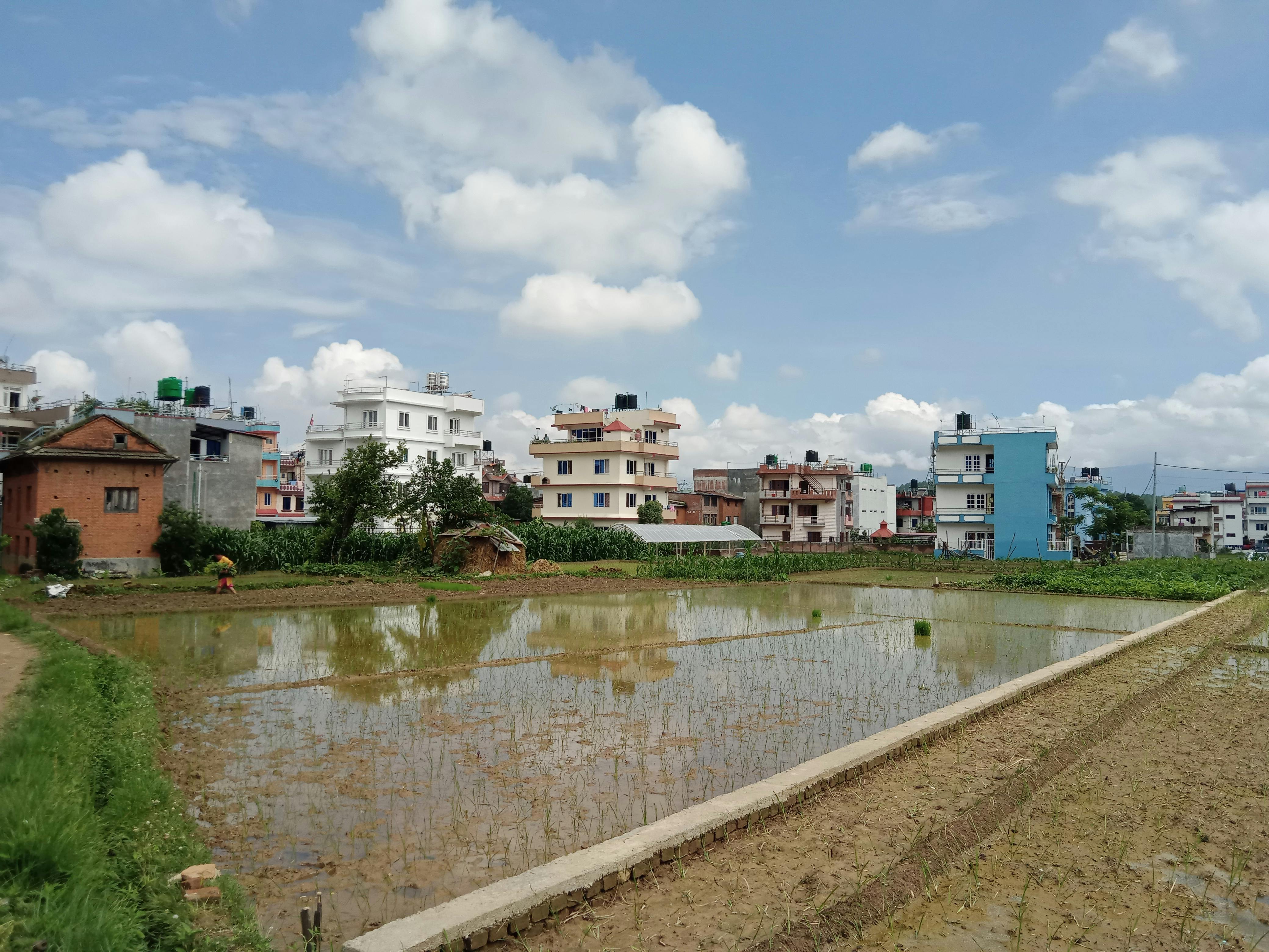 Cloud SDK Development