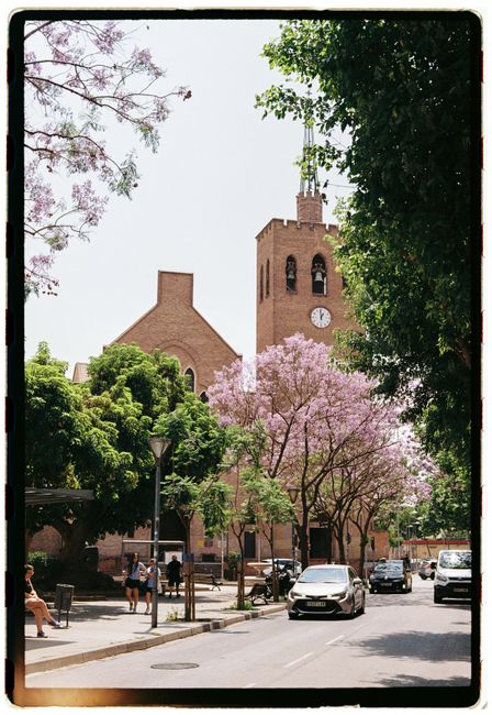 A picturesque view of a European street, featuring a historic building and blooming trees.
