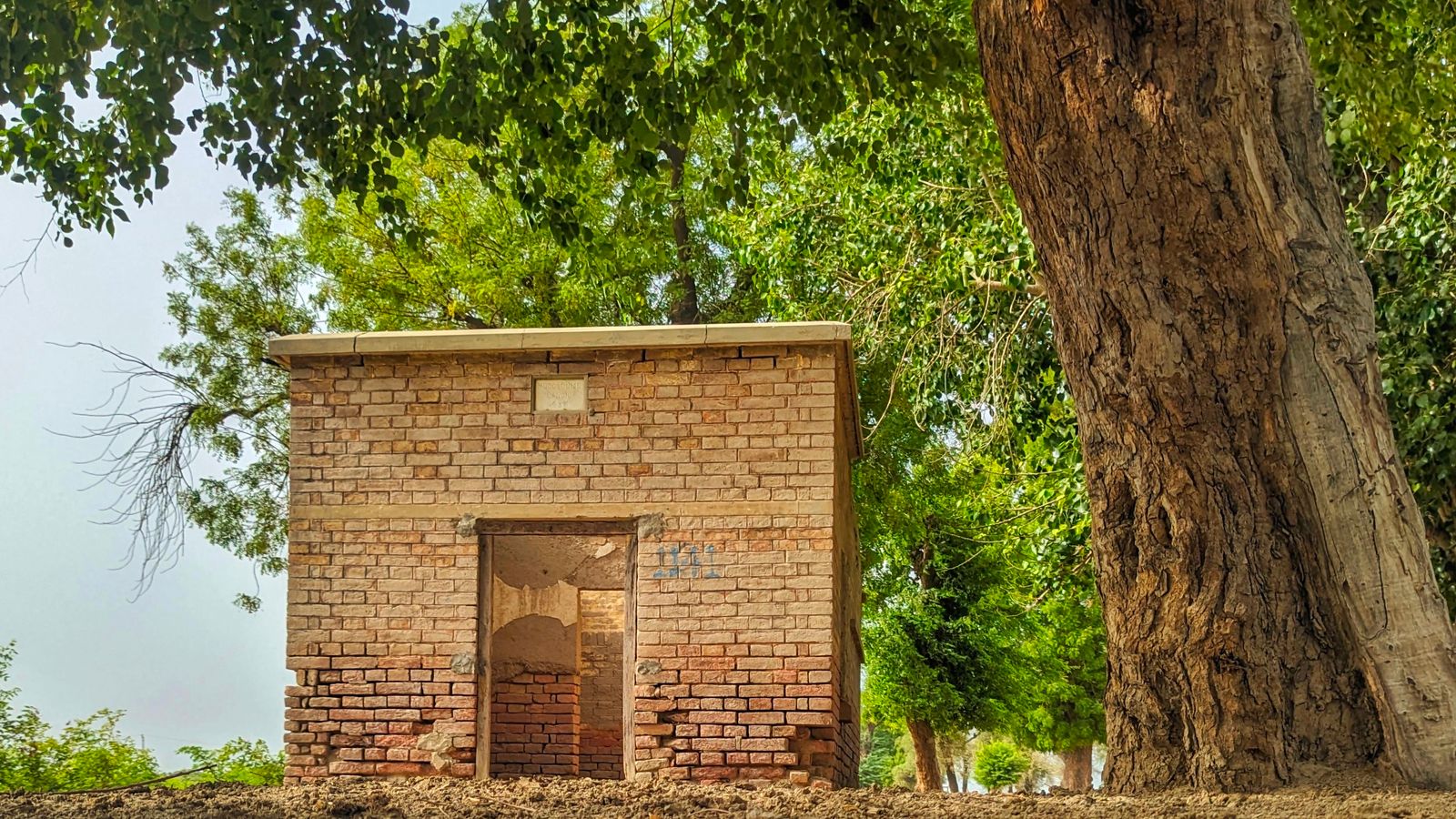 An abandoned brick building surrounded by lush trees in Kandiāro, Sindh, Pakistan, showcasing rural architecture.