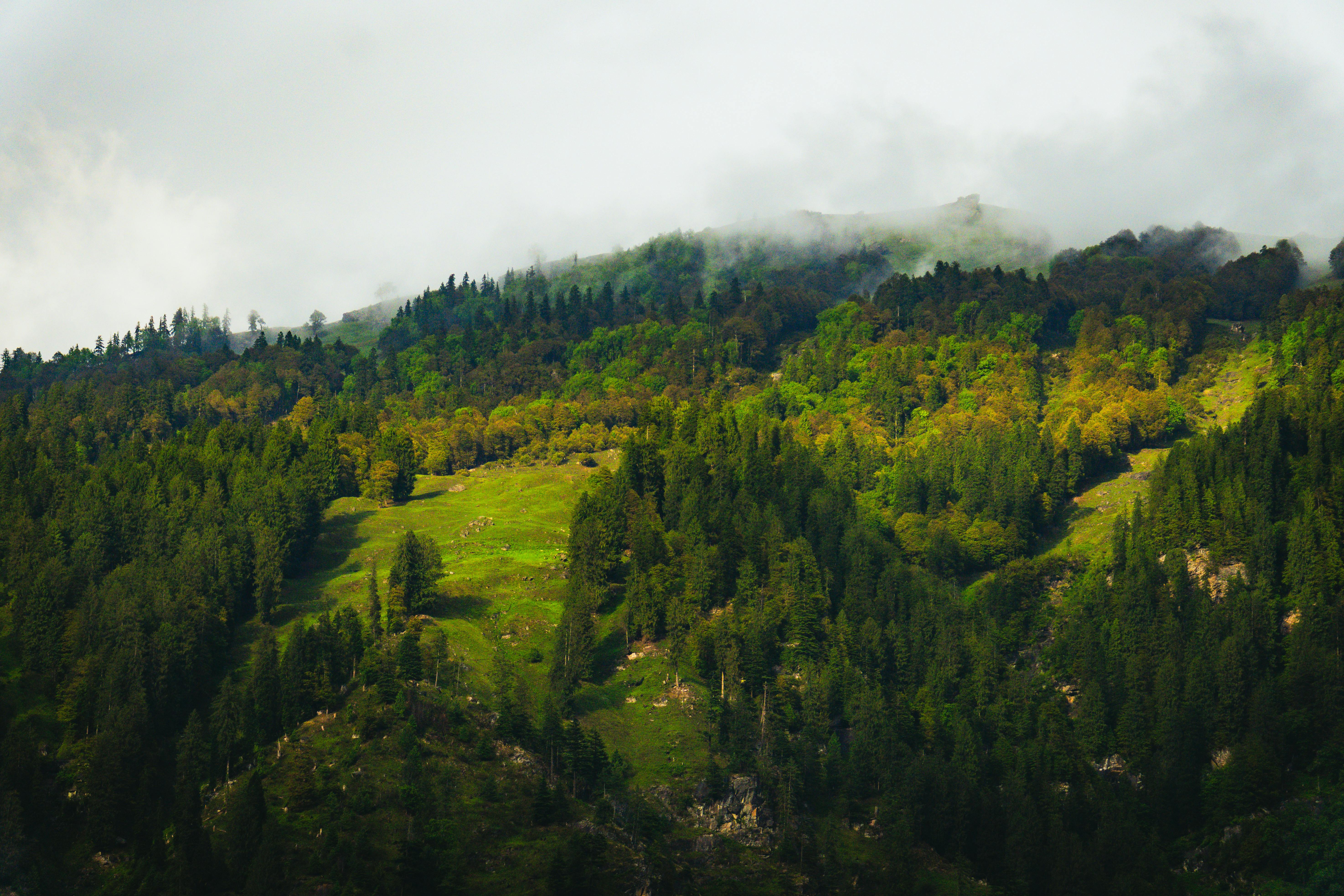 林祐介写真集　PicturesqueWinterLandscape•KARHU 𝐏𝐫𝐞𝐬𝐞𝐧𝐭𝐬 ❦ 📸 𝐅𝐞𝐚𝐭𝐮𝐫𝐞𝐝 𝐀𝐫𝐭𝐢𝐬𝐭