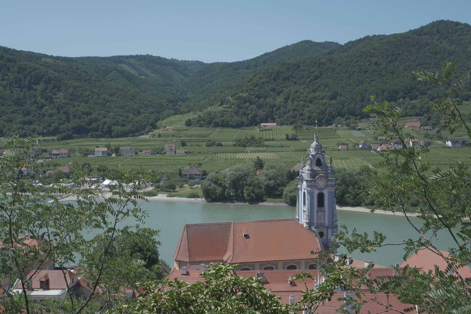 The blue tower of Dürnstein Abbey above the Danube, with vineyards and wooded hills beyond