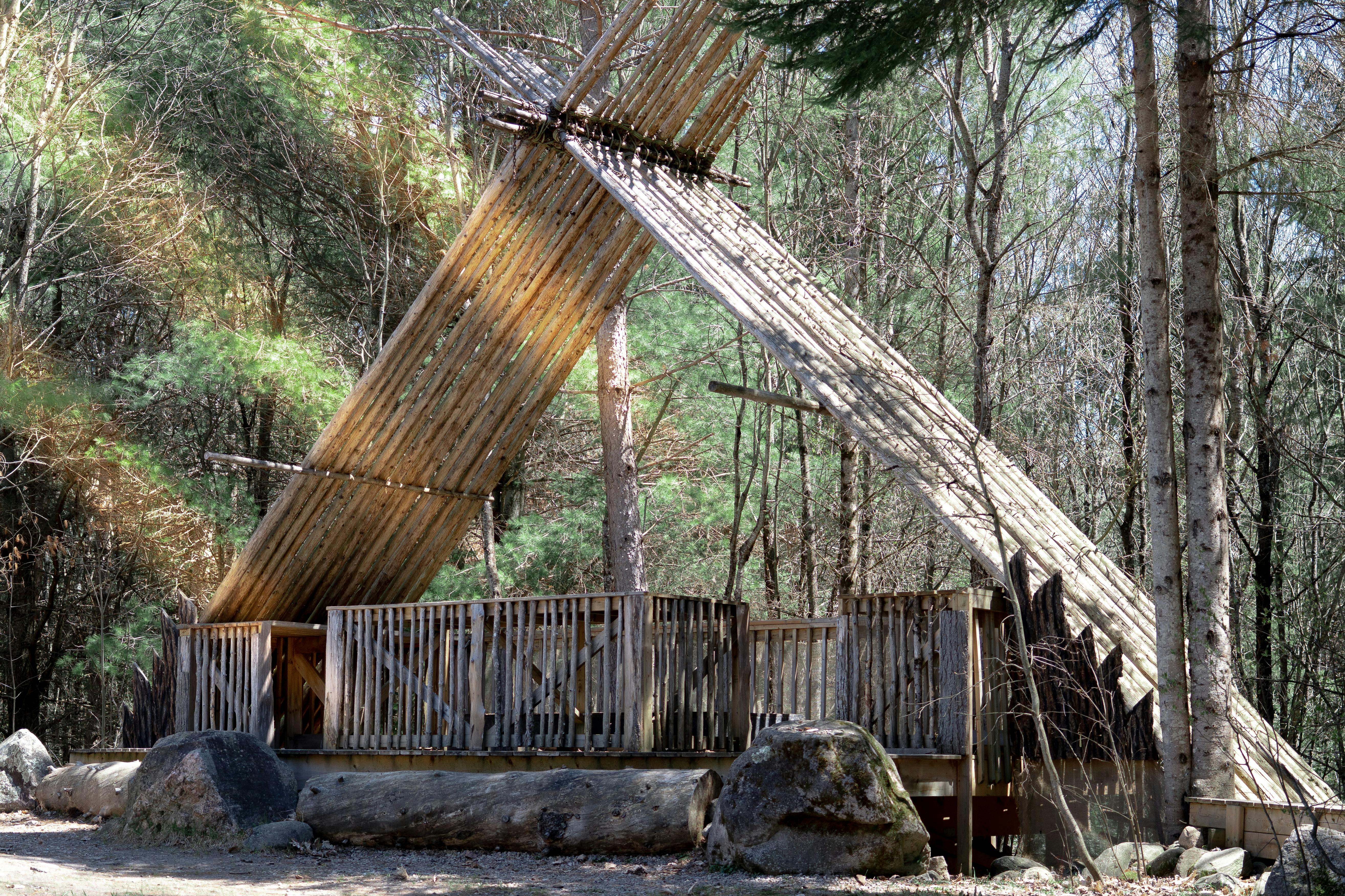 Unique camp builds connection for women with rare health conditions — Photo by Jonathan on Pexels
