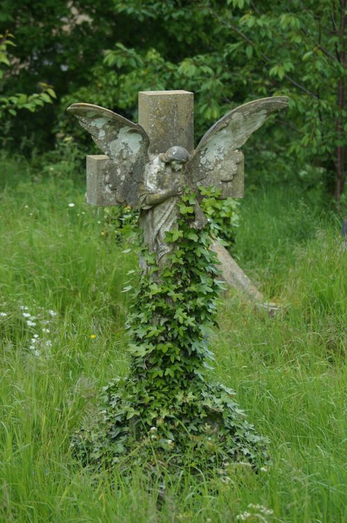 Free Angel statue covered in ivy in a lush, overgrown cemetery, evoking a serene and mystical atmosphere. Stock Photo