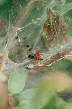 Image by Fatih Berat Örer