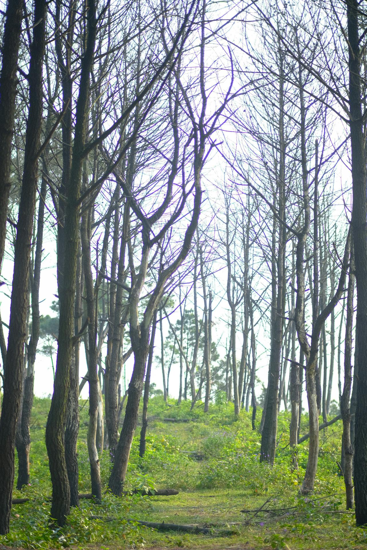 Chủ tiệm Spa cần biết về khách hàng trung thành