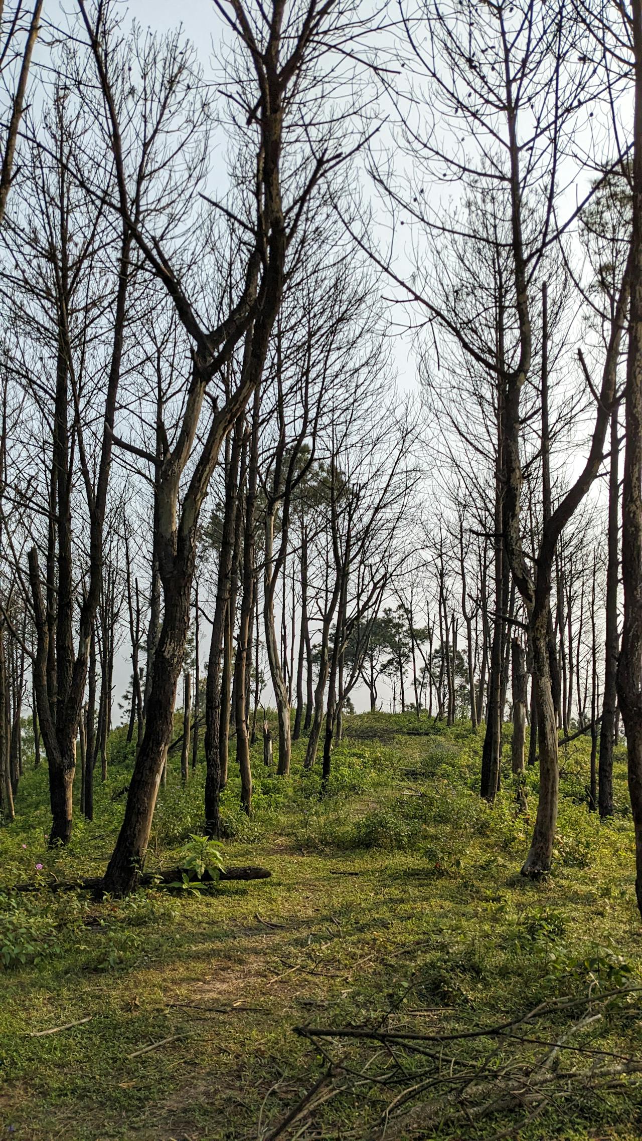 Những thí nghiệm tư tưởng kiểm tra cuộc sống của bạn