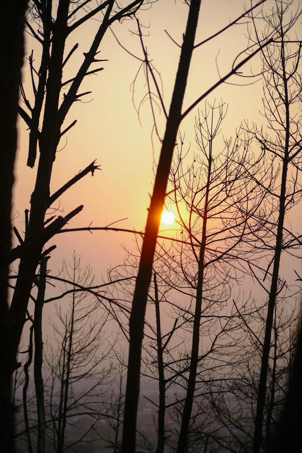 Lạm phát vũ trụ và Big Bang – Chuyện gì đang diễn ra?