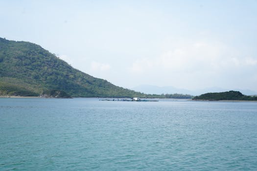 Peaceful coastal scene with calm blue waters and lush green hills under a clear sky.