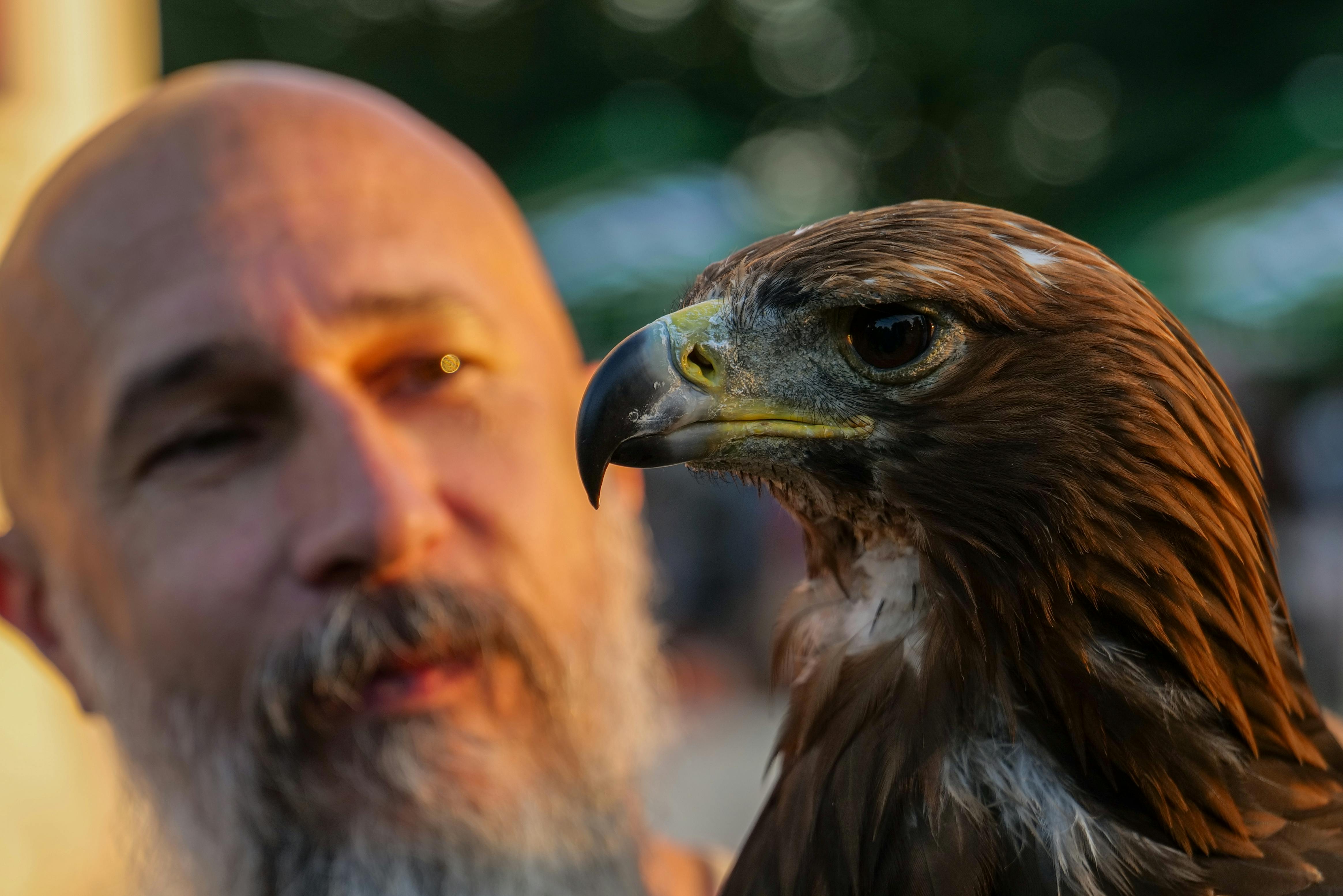 Exploring the Vibrant World of 'Golden' by KPop Demon Hunters