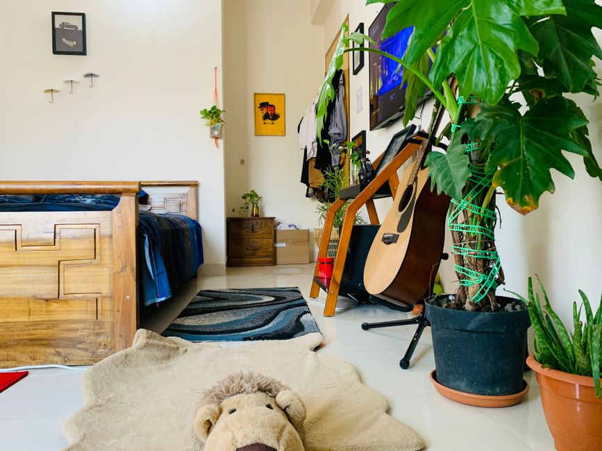 A Compact Space-Saving Solution: Everything About Plant Stands for Small Bedrooms Minimalist small bedroom with compact plant stand and tiny potted plants