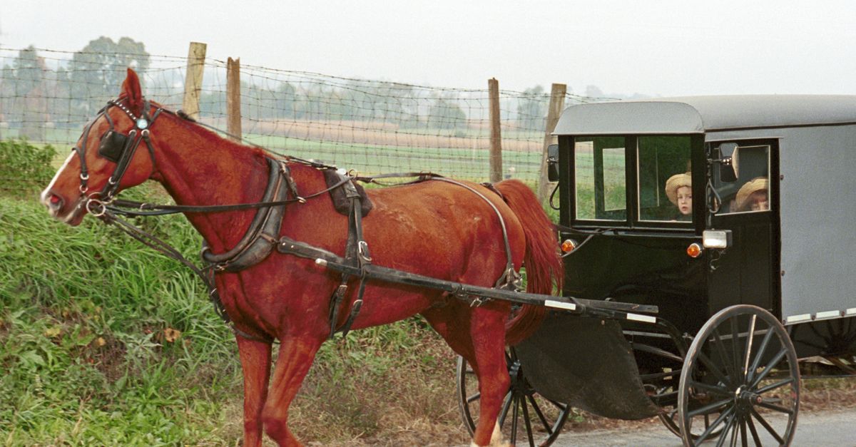 Amish horse and buggy traveling on a rural road in Lancaster, Pennsylvania.