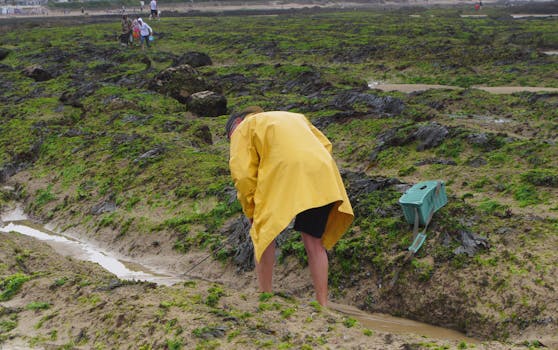 Arrondissement des Sables-d'Olonne