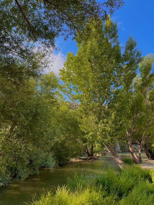 Free Serene river scene surrounded by lush greenery and clear blue sky in summer. Stock Photo