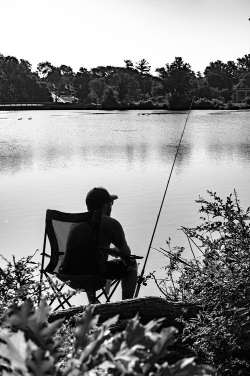 Free Black and white image of a person fishing at a lakeside in Plymouth, Michigan. Stock Photo