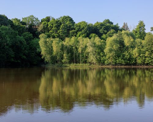 Free Tranquil lake scene with forest reflections in Plymouth, Michigan during summer. Stock Photo