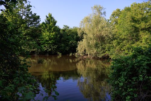 Free A tranquil lake surrounded by lush greenery on a clear summer day in Plymouth, Michigan. Stock Photo