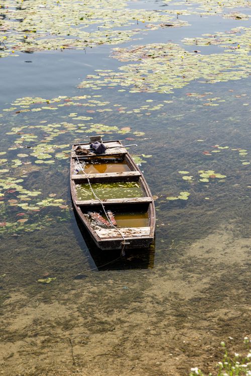 Free An aged wooden boat floating peacefully among lily pads in clear lake waters. Stock Photo