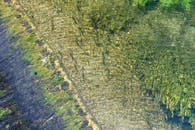 Clear Water Flowing Over Moss-Covered Rocks