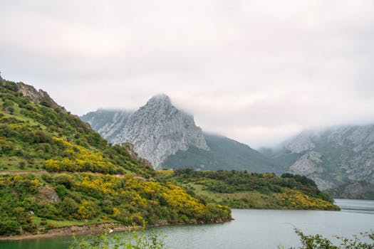 Peaceful landscape of mountains, lake, and greenery in Riaño, Spain.