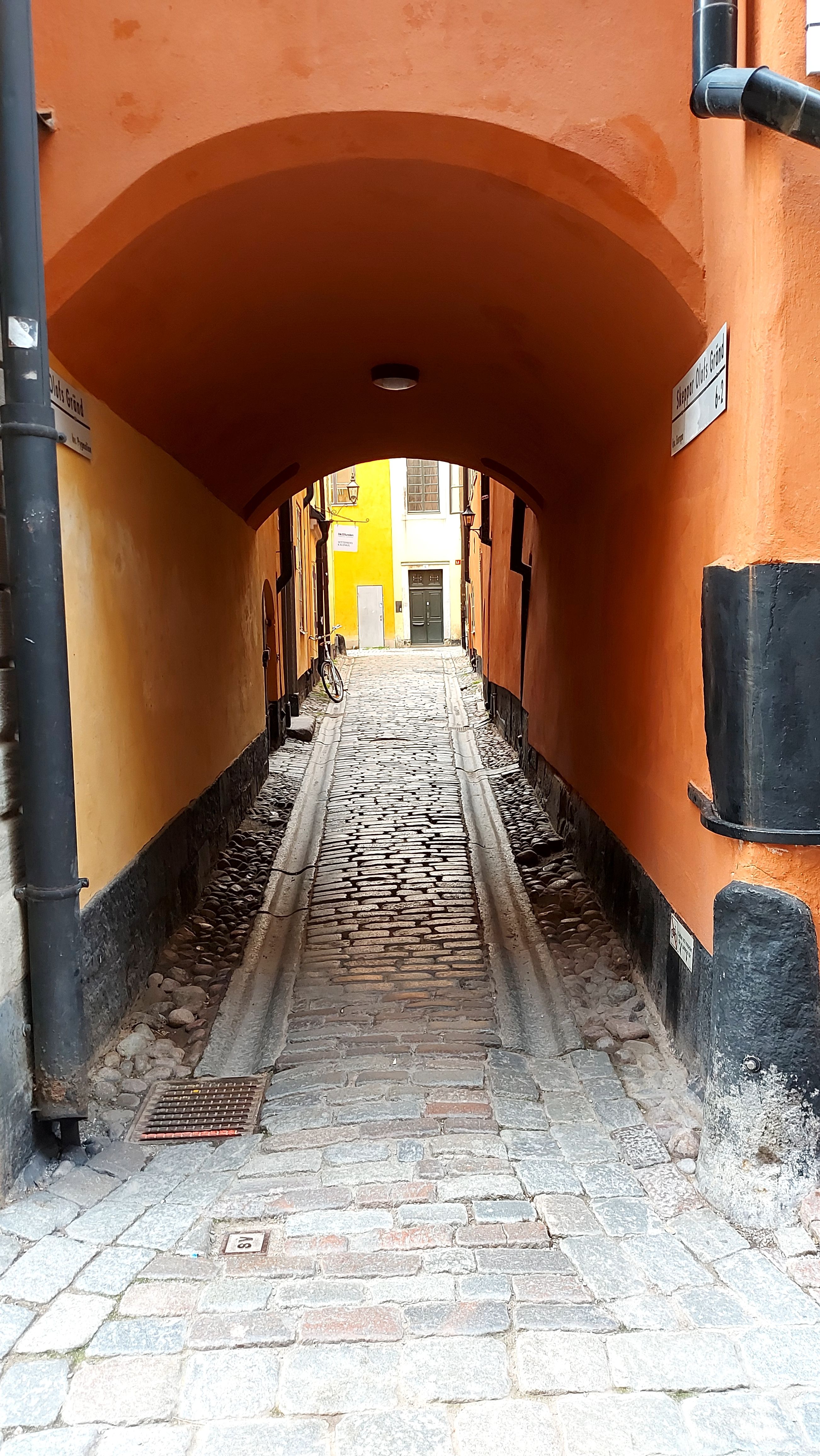 Charming Cobblestone Alley in Historic District · Free Stock Photo