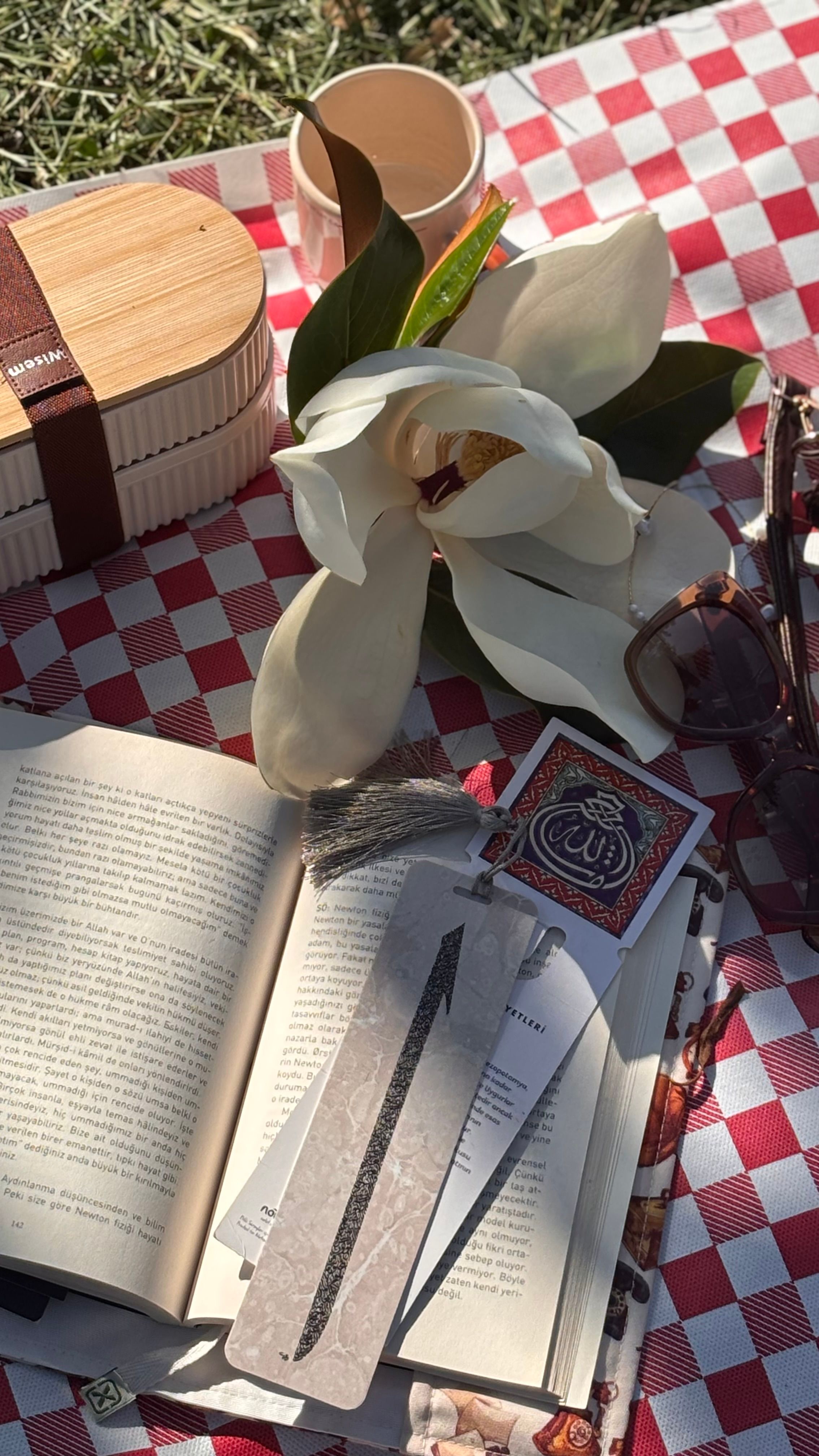 Cozy picnic setup with an open book, flower, and accessories on a checkered cloth.