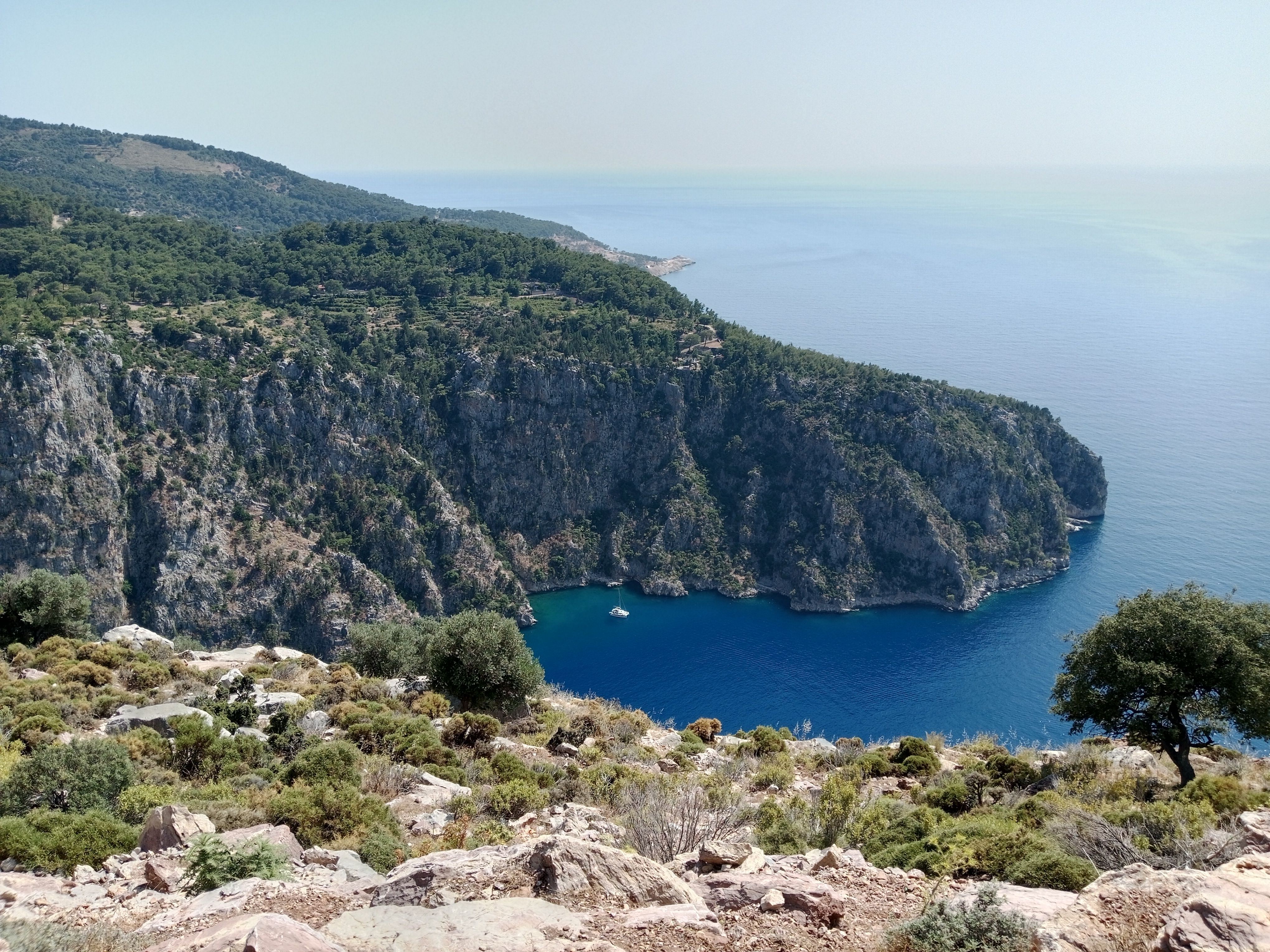 Scenic Cliffside Overlooking Blue Ocean Bay · Free Stock Photo