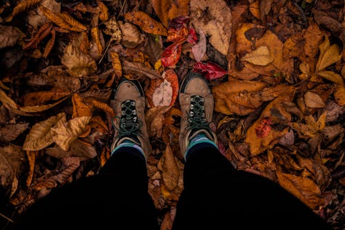 Free Photo of a Person's Feet on Dry Leaves Stock Photo