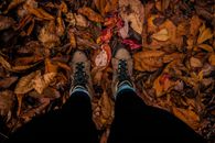 Person in Black Pants and Brown Hiking Shoes Standing on Dried Leaves