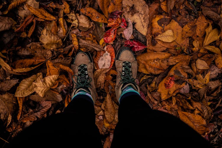 Photo Of A Person's Feet On Dry Leaves