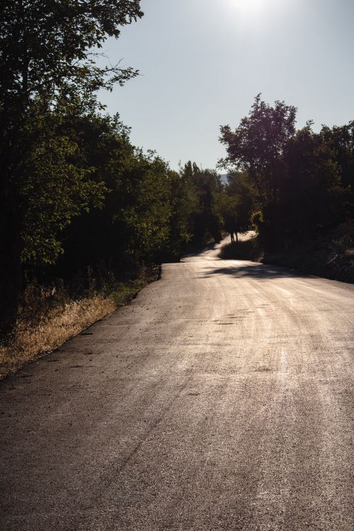 Free A serene, sunlit road in a wooded area of Seydili, Elazığ, capturing mid-afternoon tranquility. Stock Photo