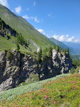 Beautiful mountain scene with rocky cliffs, lush greenery, and vibrant wildflowers under a clear blue sky.
