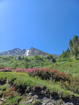 Breathtaking mountain view with vibrant alpine flowers under a clear blue sky.