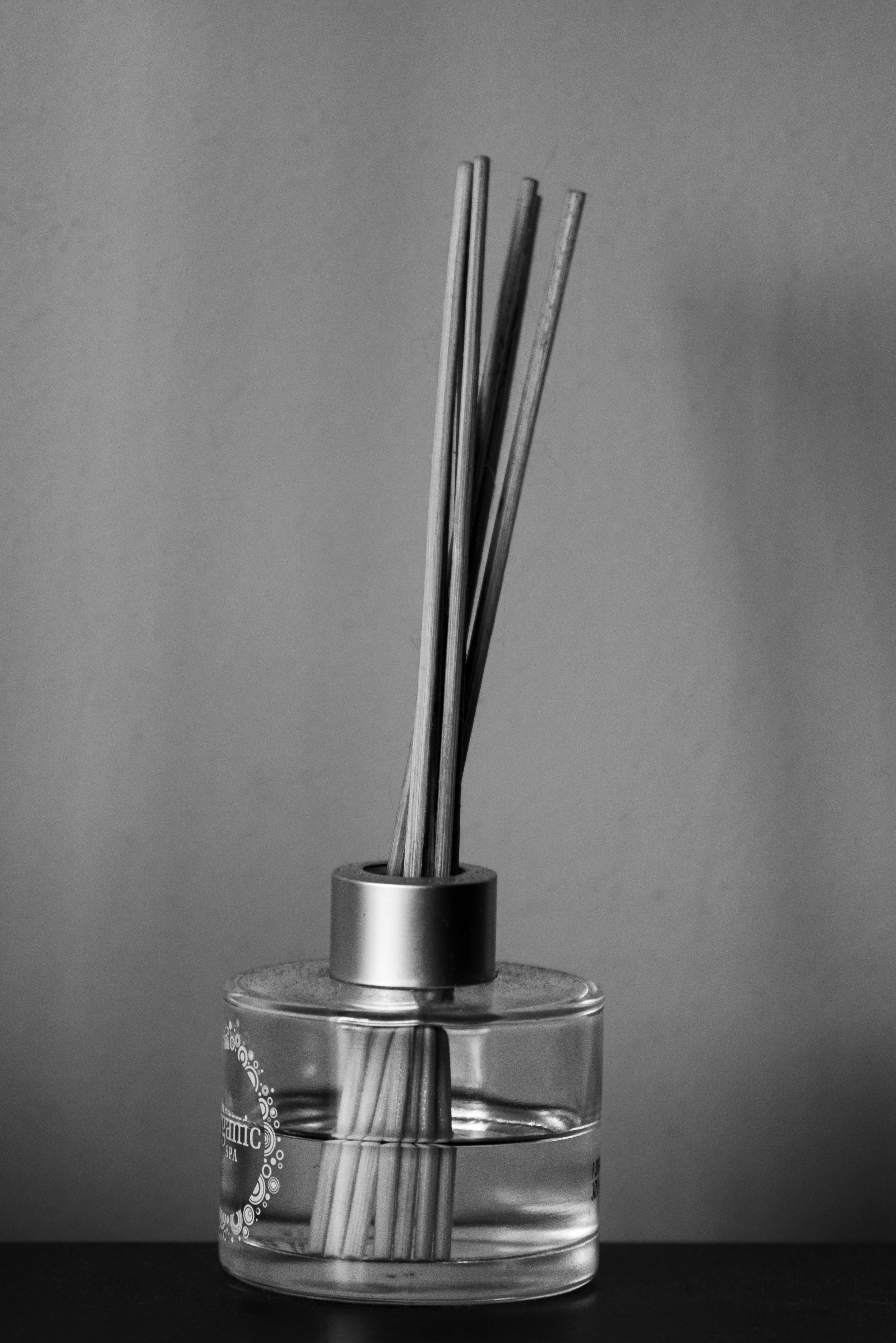Elegant black and white photo of a reed diffuser with long sticks in a glass bottle.