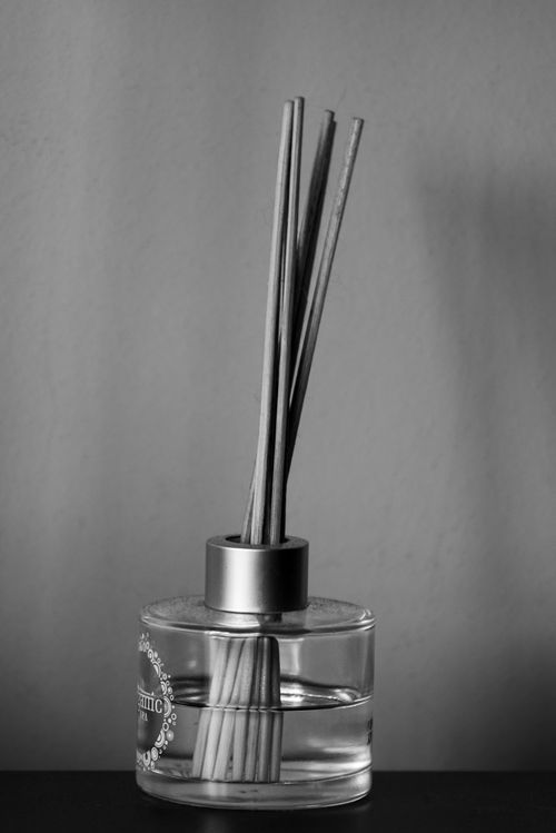 Free Elegant black and white photo of a reed diffuser with long sticks in a glass bottle. Stock Photo