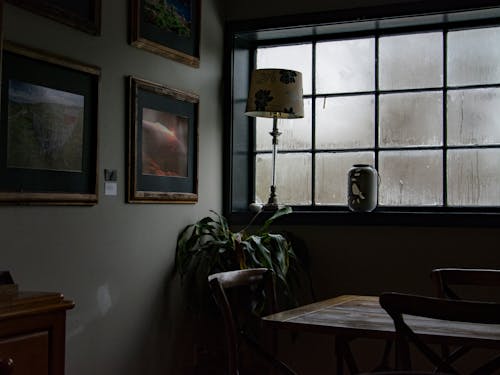 Základová fotografie zdarma na téma design interiéru, déšť, doma