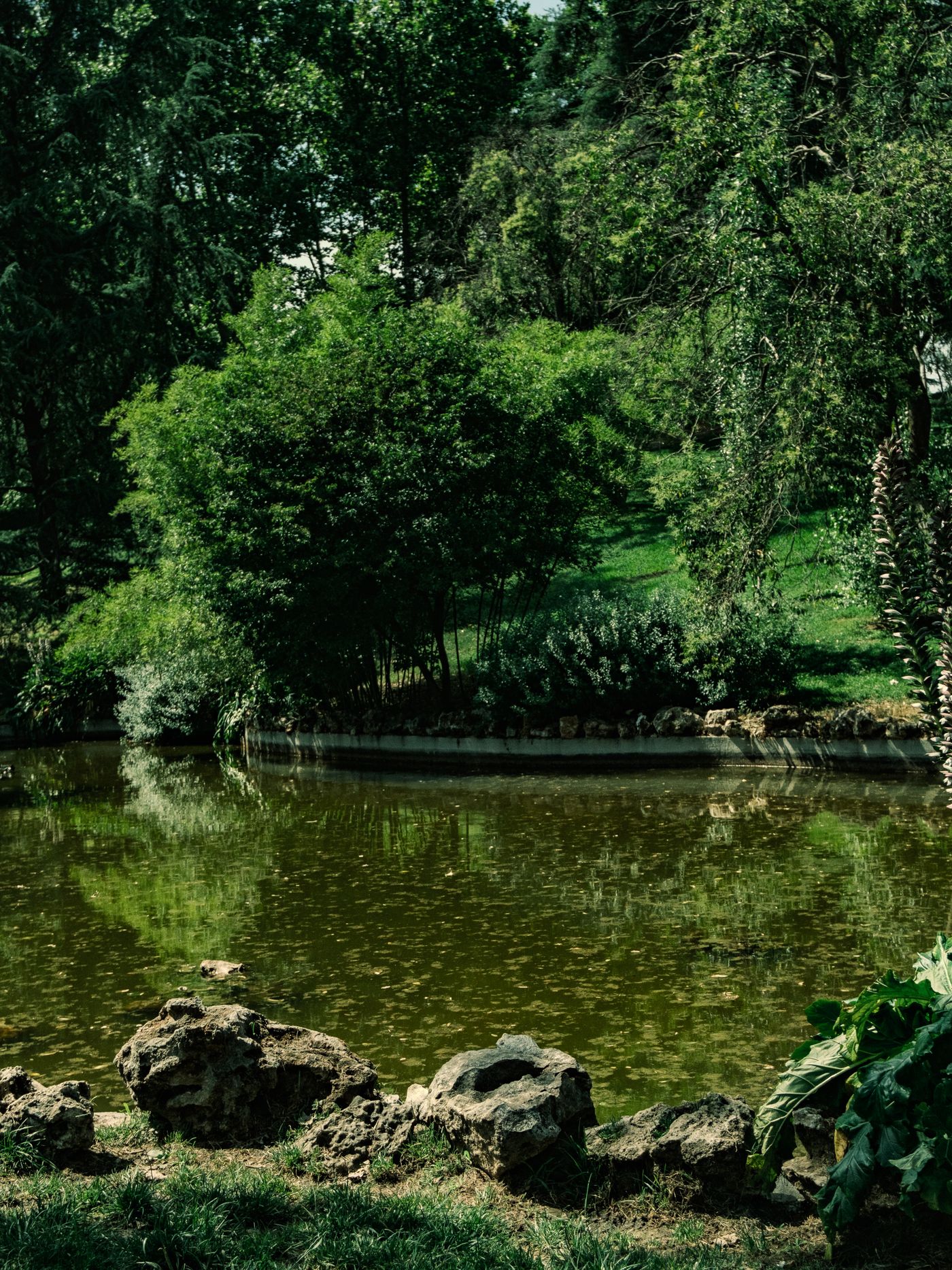 Community pond with walking path around the perimeter