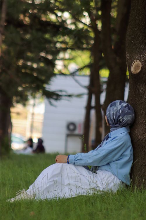 Free A woman wearing a hijab relaxes under a tree on a sunny summer day in a park. Stock Photo
